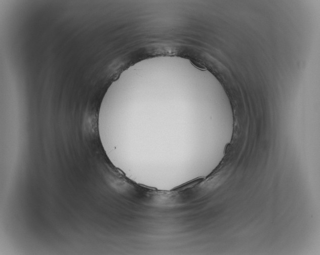 X0000112400096200909041345