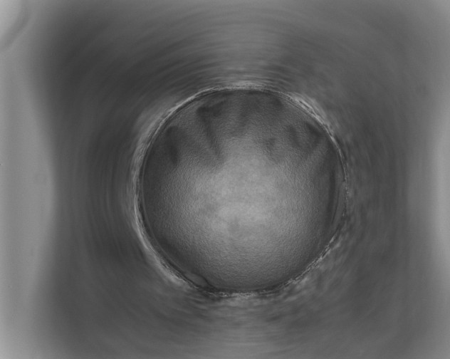 X0000112400097200909041344