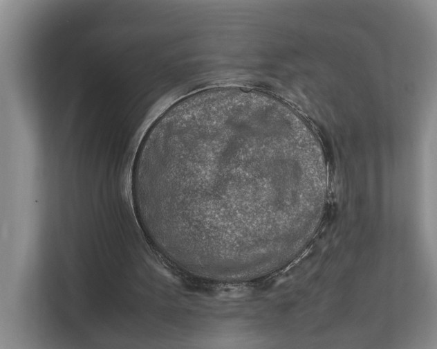X0000112400099200909041344