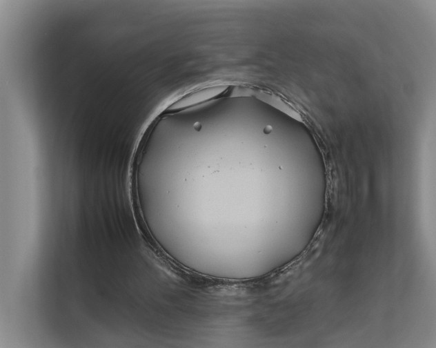 X0000112400100200909041344