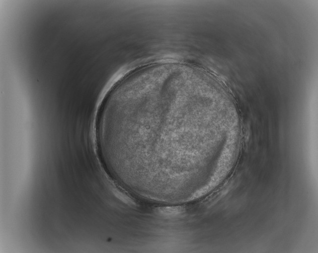 X0000112400102200909041344