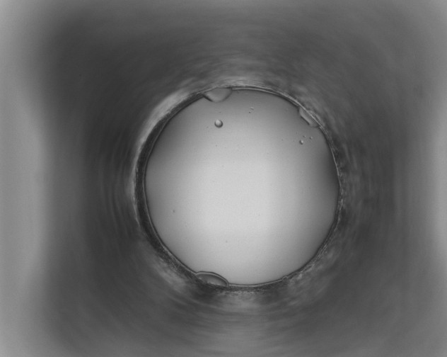 X0000112400104200909041344