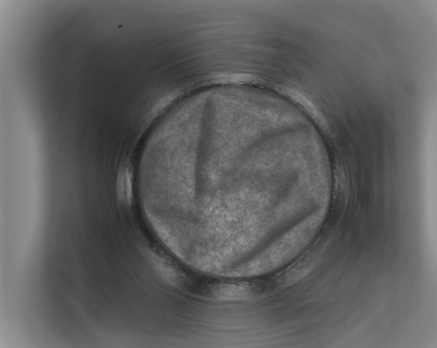 X0000112400110200909041344