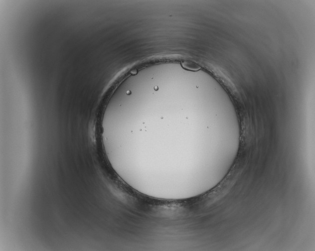 X0000112400112200909041344