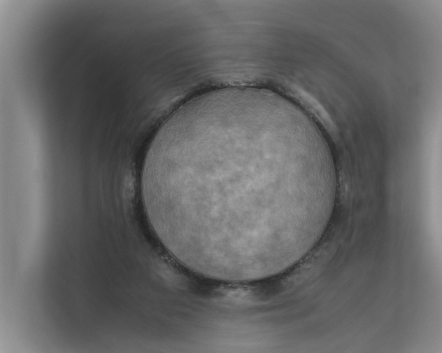 X0000112400113200909041344