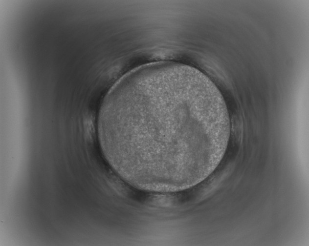 X0000112400127200909041344