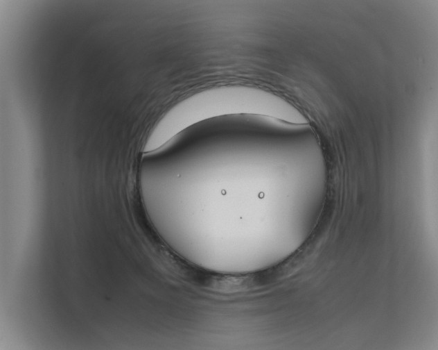 X0000112400129200909041344