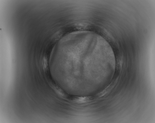 X0000112400130200909041344