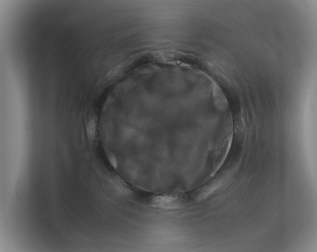 X0000112400139200909041343