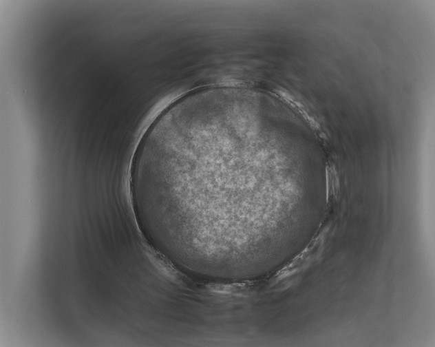 X0000112400147200909041343