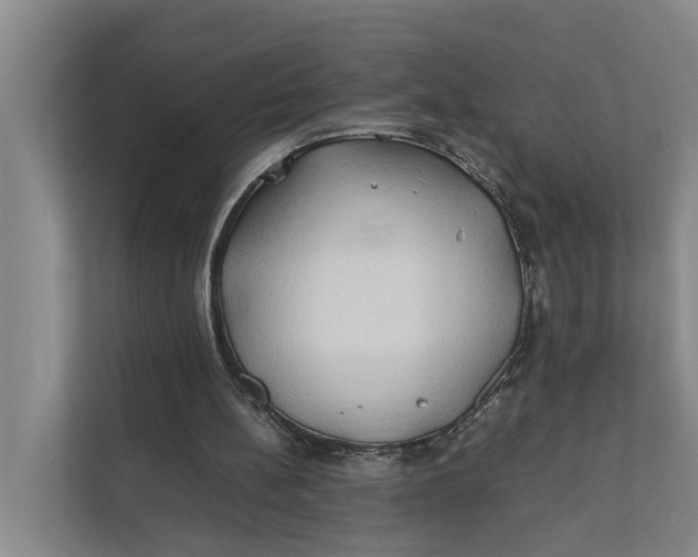 X0000112400148200909041343