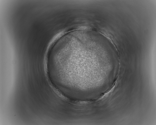 X0000112400149200909041343