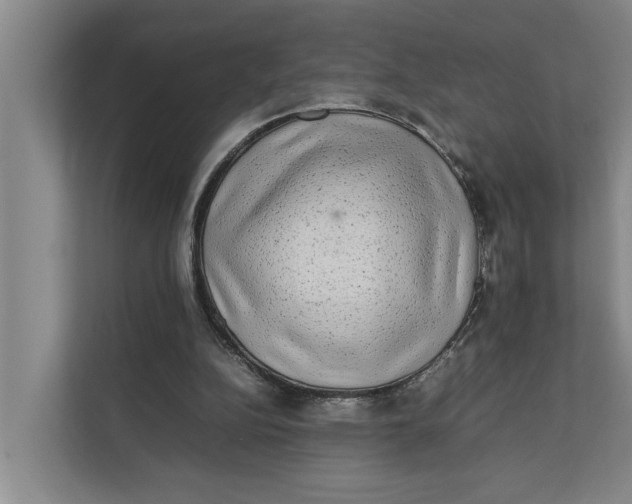 X0000112400152200909041343
