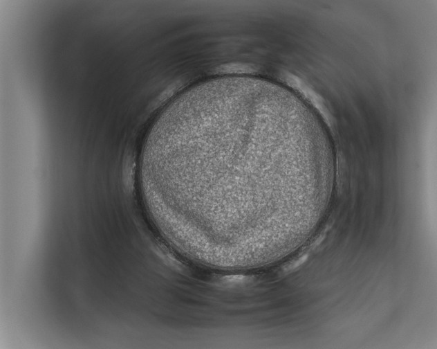 X0000112400153200909041343