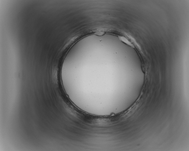 X0000112400154200909041343