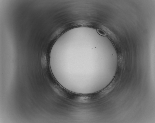 X0000112400158200909041343