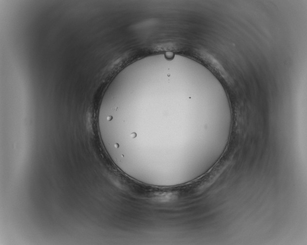 X0000112400161200909041343
