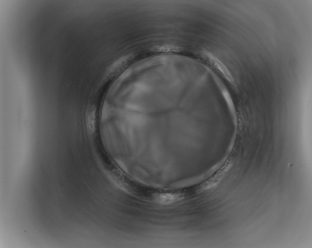 X0000112400163200909041343