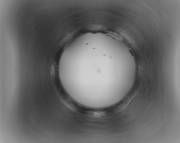 X0000112400165200909041343