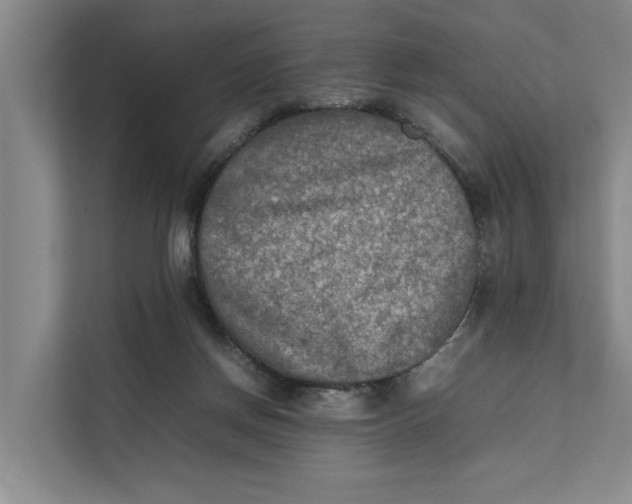 X0000112400166200909041343
