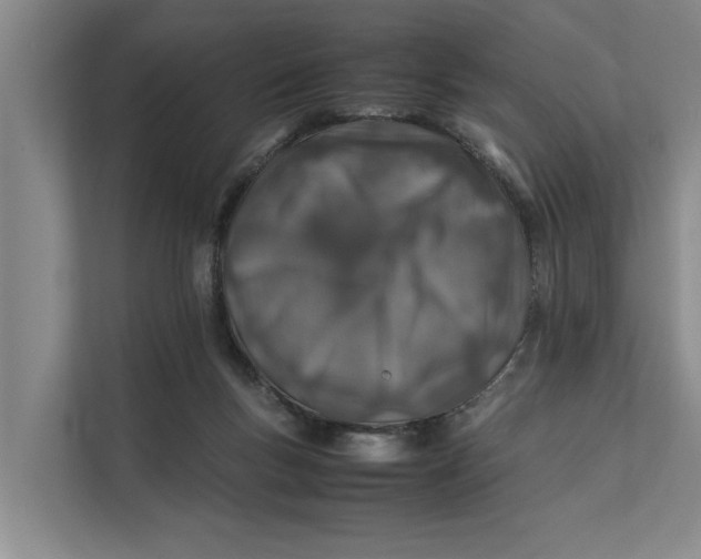 X0000112400167200909041343