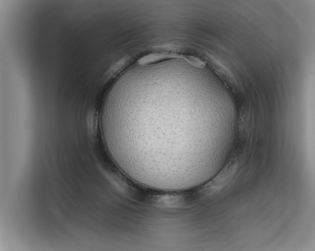 X0000112400168200909041343