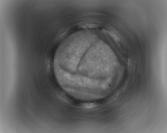 X0000112400169200909041343