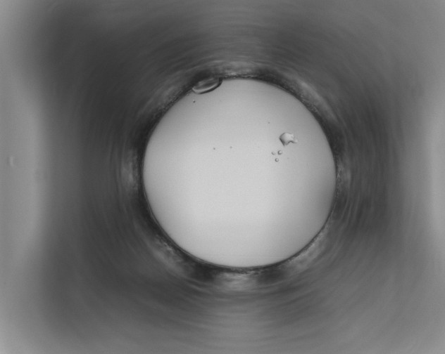X0000112400170200909041343