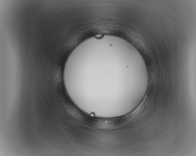 X0000112400174200909041343