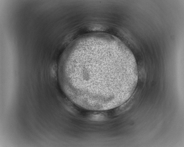 X0000112400175200909041343