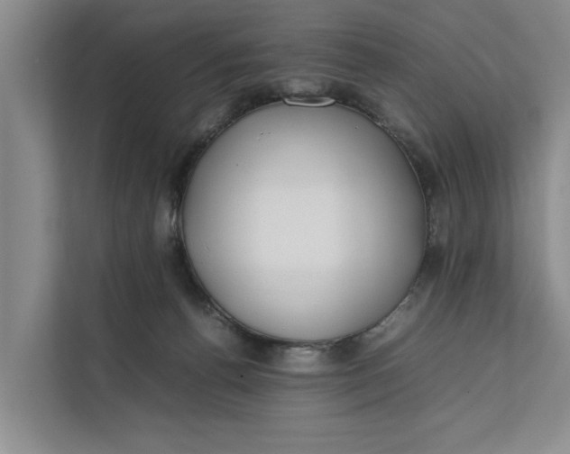 X0000112400176200909041343