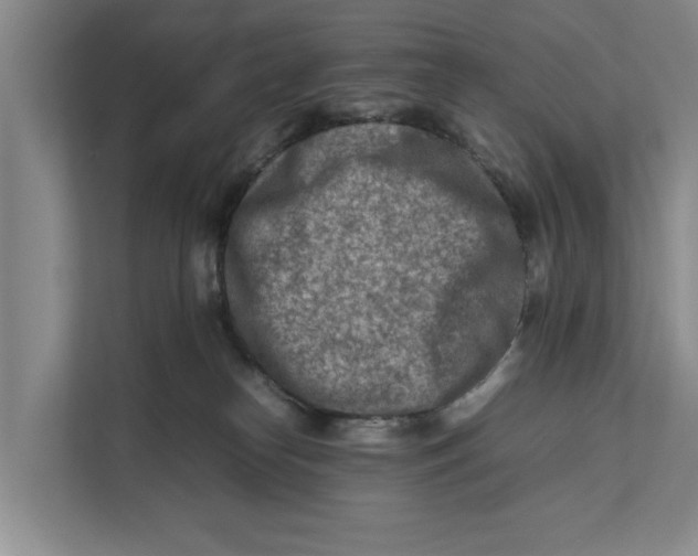 X0000112400182200909041343