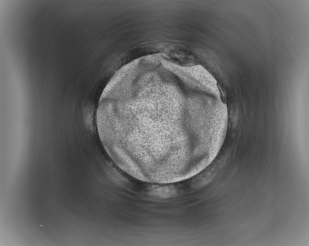 X0000112400185200909041343