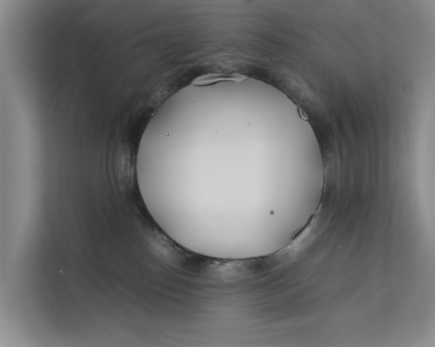 X0000112400186200909041343