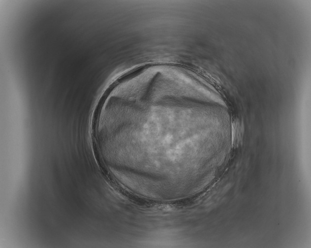 X0000112400195200909041343