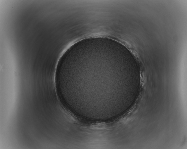 X0000112400196200909041343