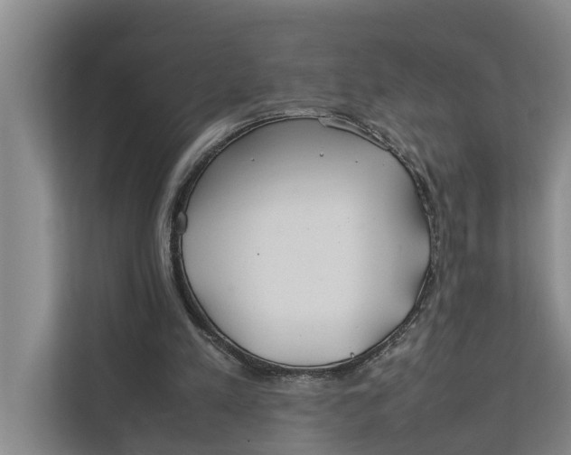X0000112400197200909041343