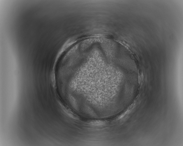 X0000112400198200909041343