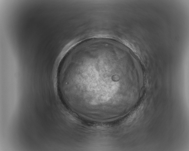 X0000112400199200909041343