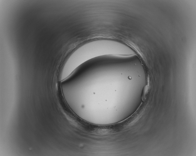X0000112400205200909041343