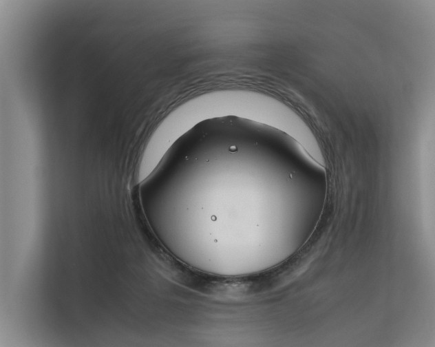 X0000112400217200909041342