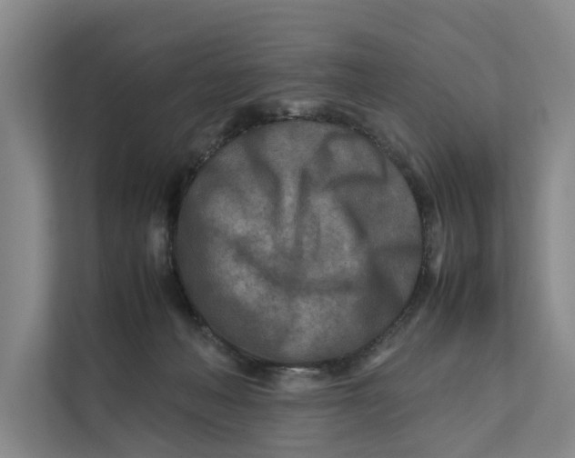 X0000112400222200909041342
