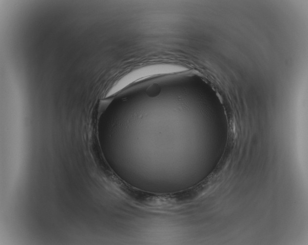 X0000112400223200909041342