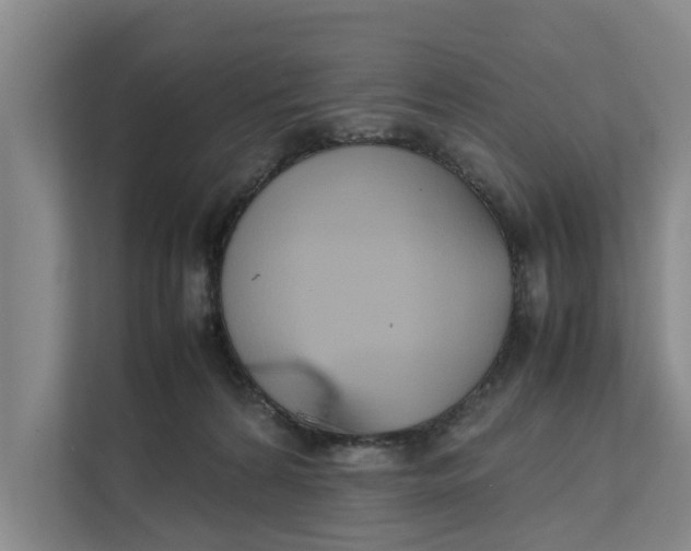 X0000112400224200909041342