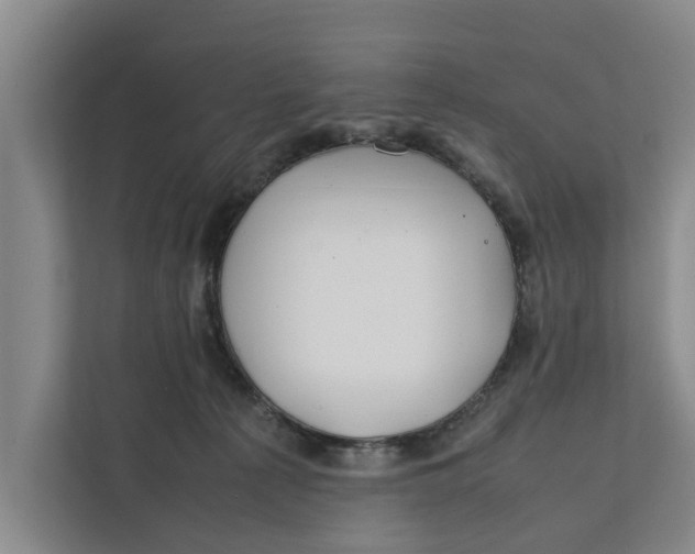 X0000112400225200909041342