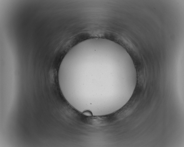 X0000112400229200909041342