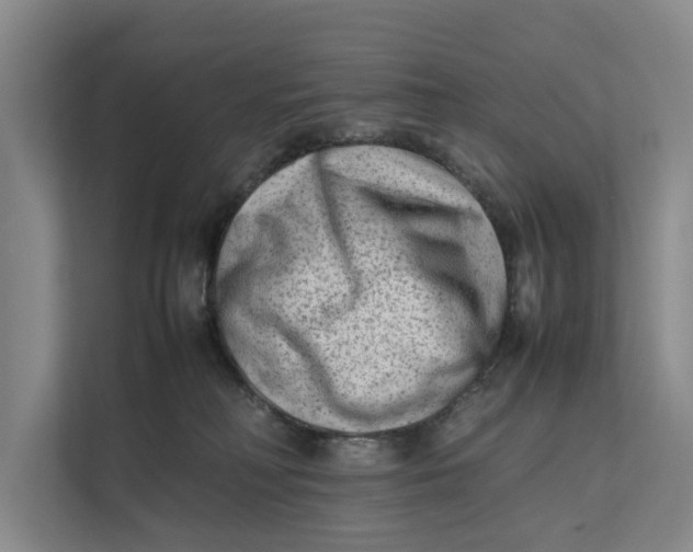 X0000112400230200909041342