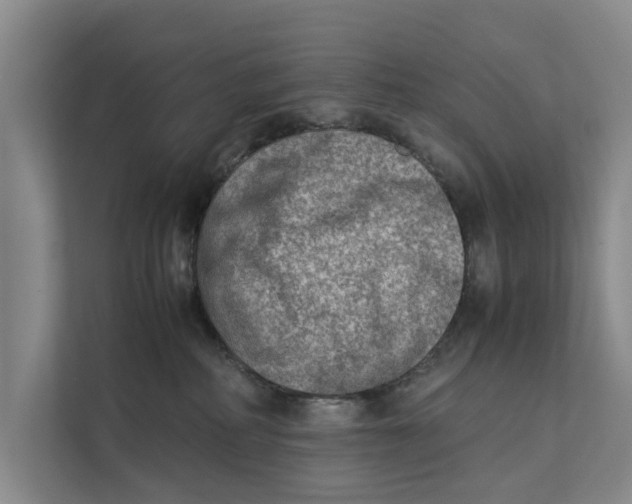 X0000112400234200909041342