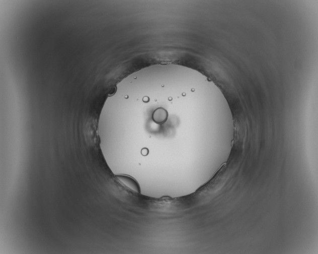 X0000112400237200909041342