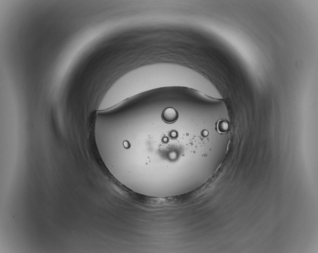 X0000112400239200909041342